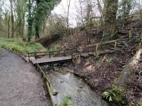 Drews Pond Wood Local Nature Reserve