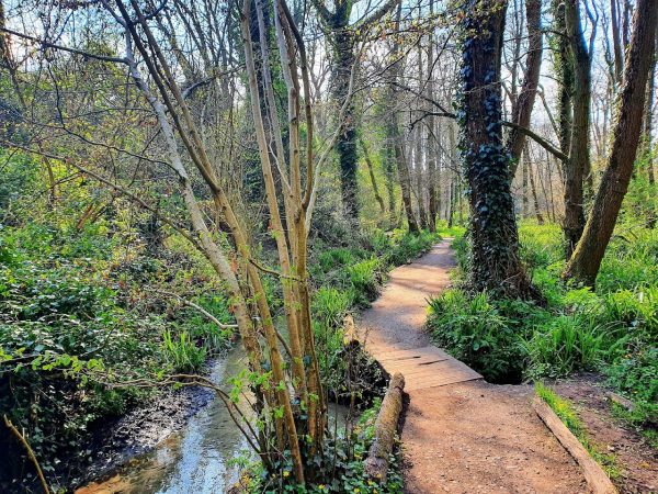 Drews Pond Wood Local Nature Reserve