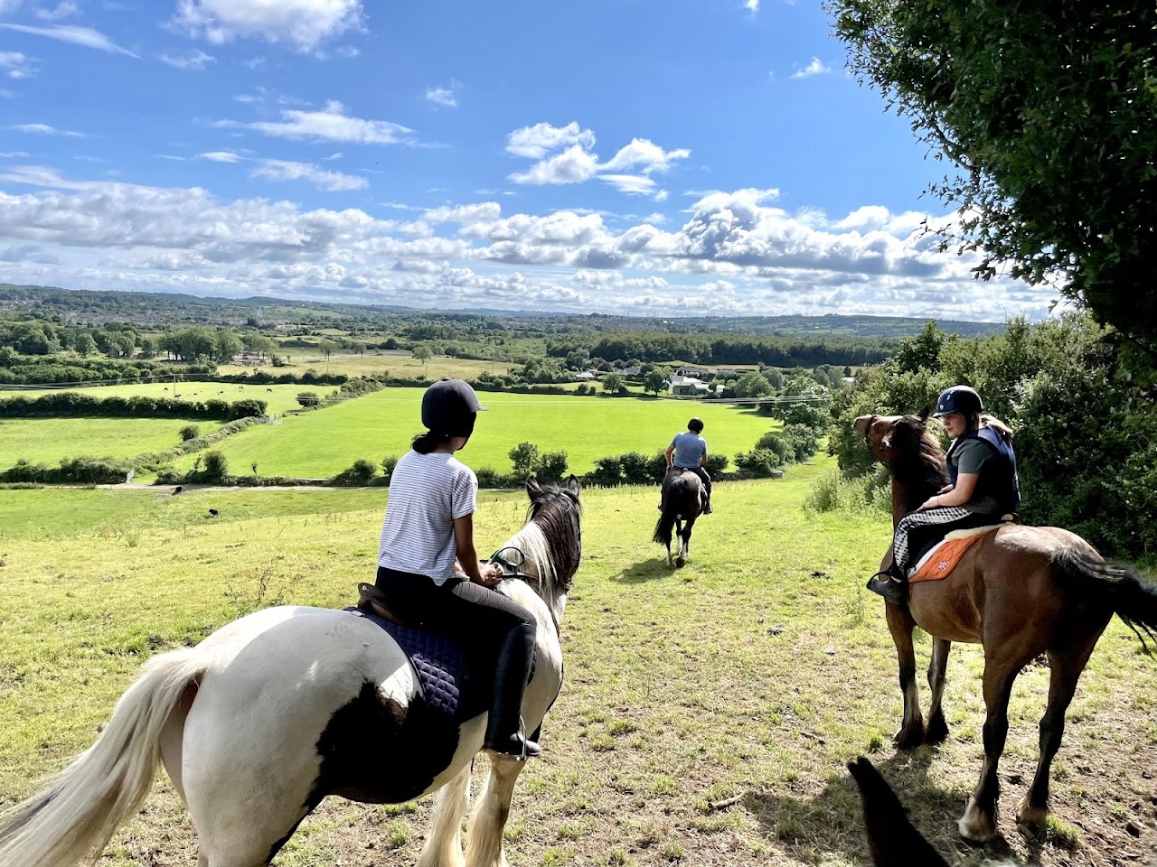 Drumcliffe Equestrian