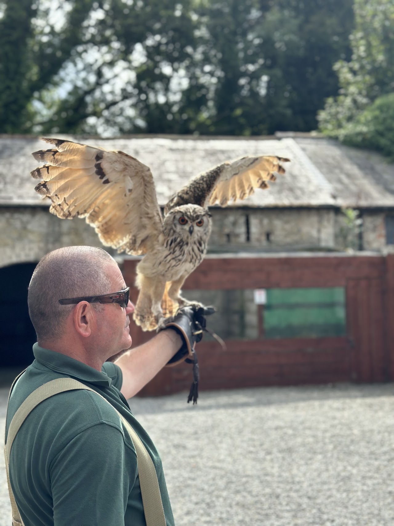 Dublin Falconry