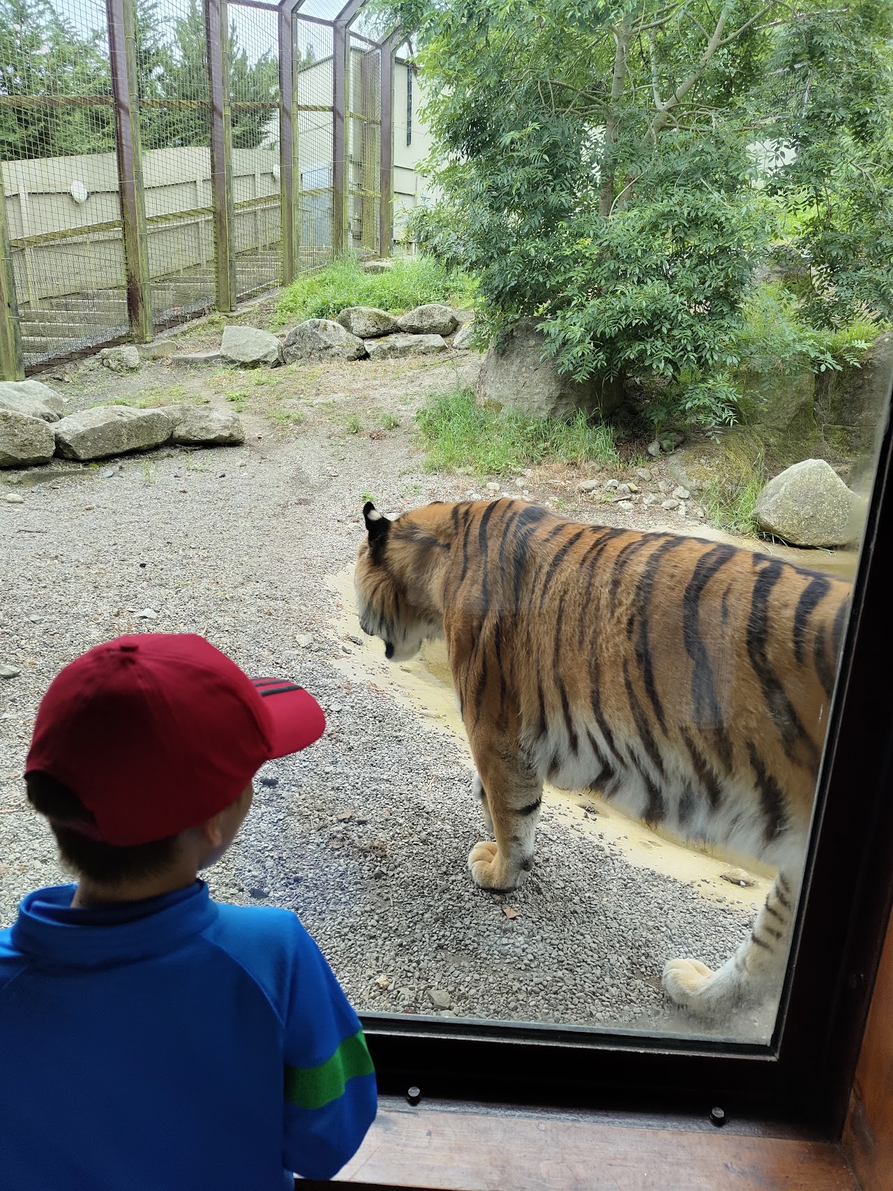 Dublin Zoo