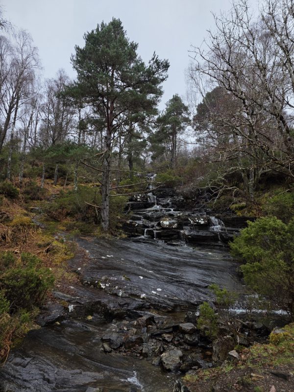 Dundreggan Rewilding Centre