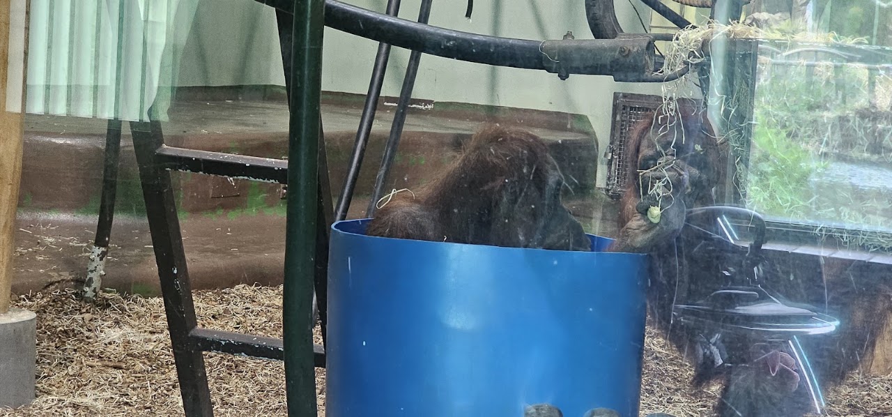 Durrell Wildlife Conservation Trust
