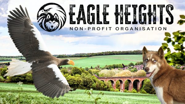 Eagle Heights Wildlife Foundation