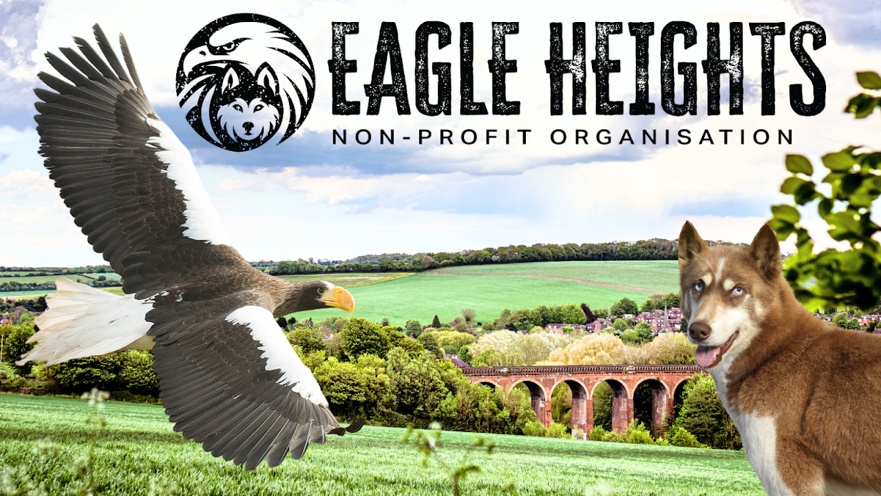 Eagle Heights Wildlife Foundation