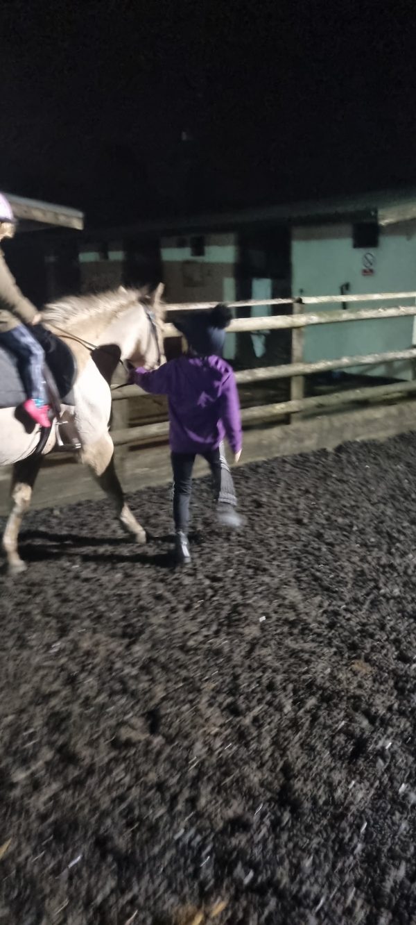 Earnsdale Farm Riding School