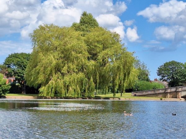 East Park