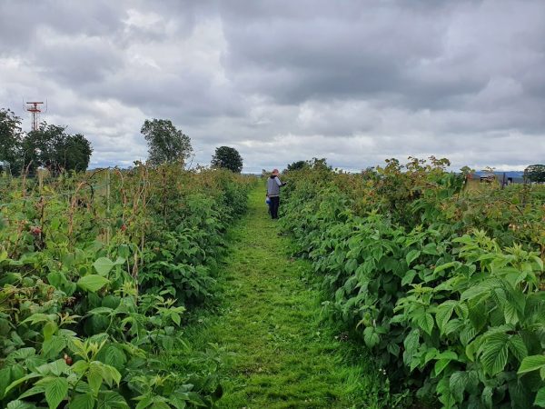 East Yonderton Farm