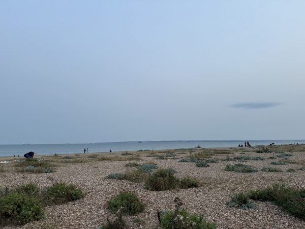 Eastney Beach
