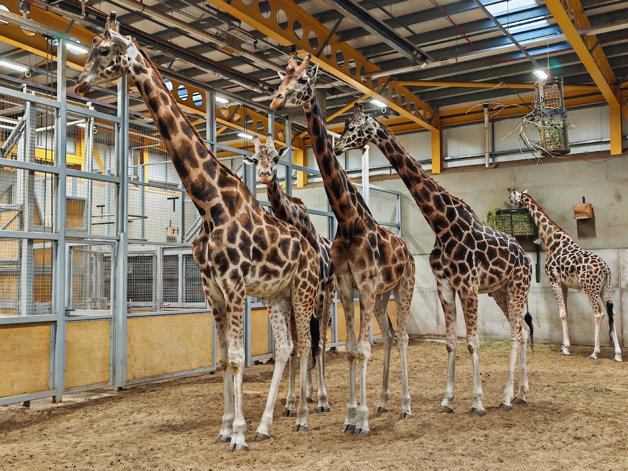 Edinburgh Zoo