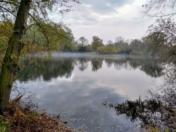 Emberton Country Park