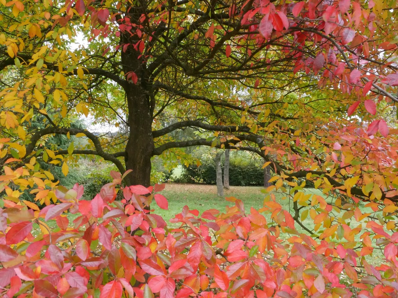 Emmetts Garden - National Trust
