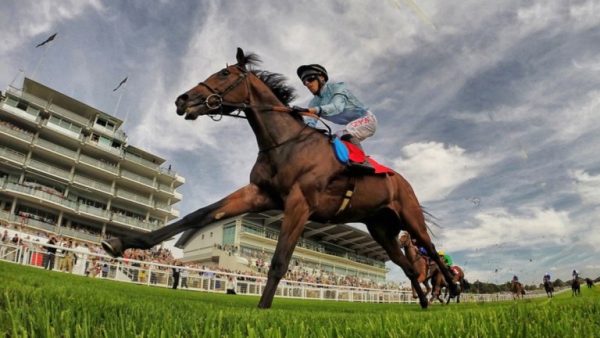 Epsom Downs Racecourse - The Derby Family Festival