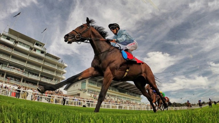 Epsom Downs Racecourse - The Derby Family Festival