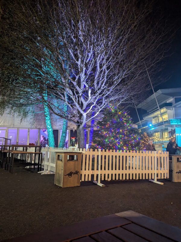 Epsom On Ice At Epsom Downs Racecourse