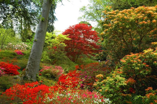 Exbury Gardens and Steam Railway