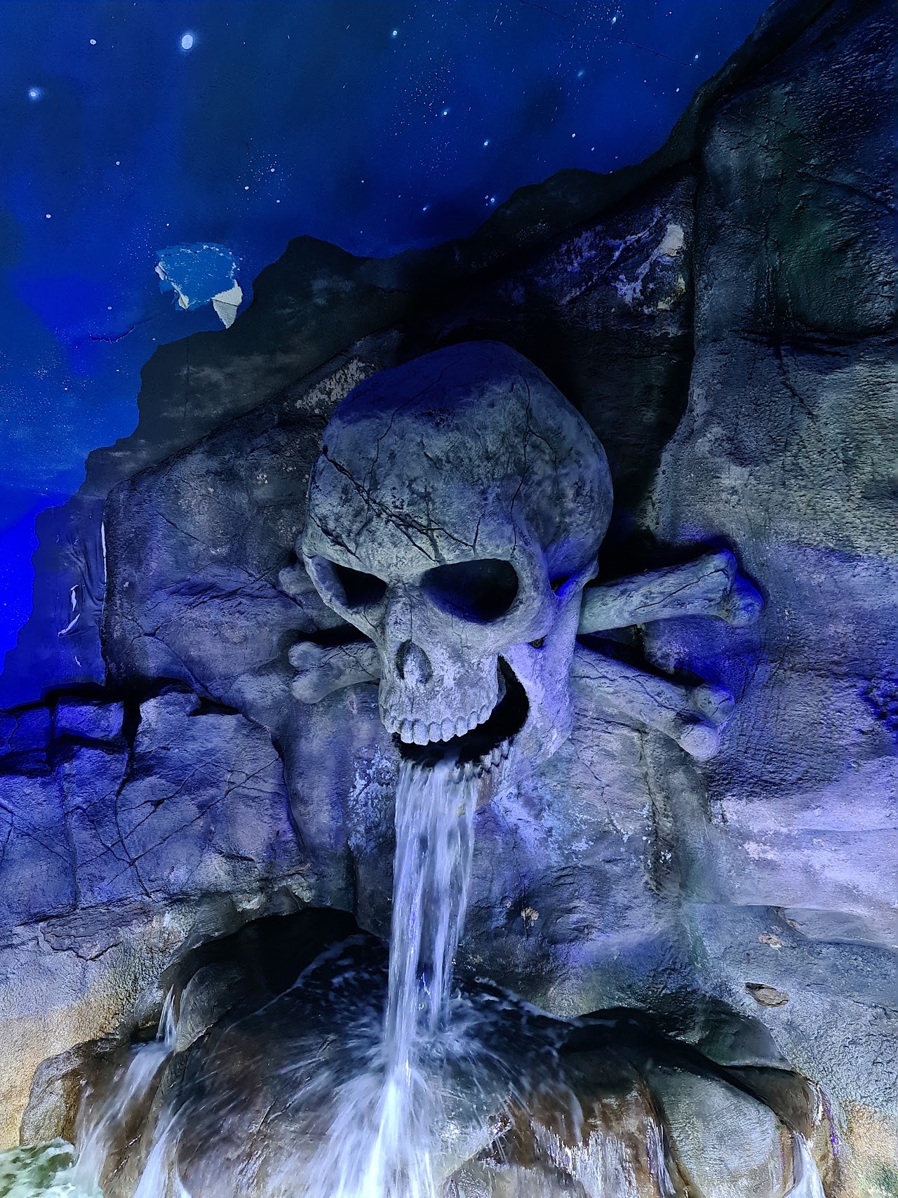 Exploris Aquarium