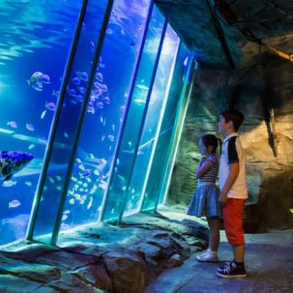 Exploris Aquarium