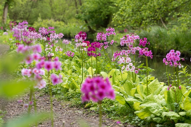 Fairhaven Woodland and Water Garden