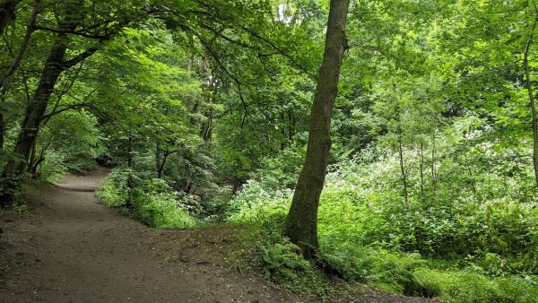 Fairy Glen Valley