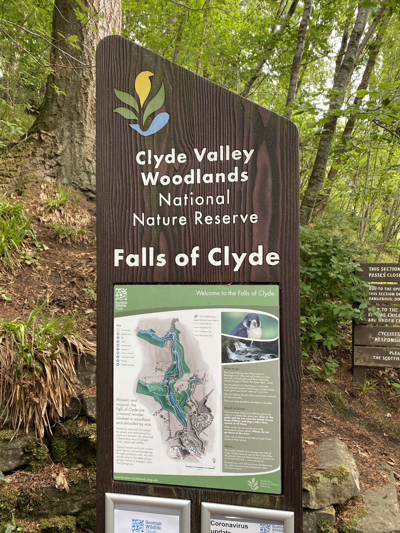 Falls of Clyde Wildlife Reserve