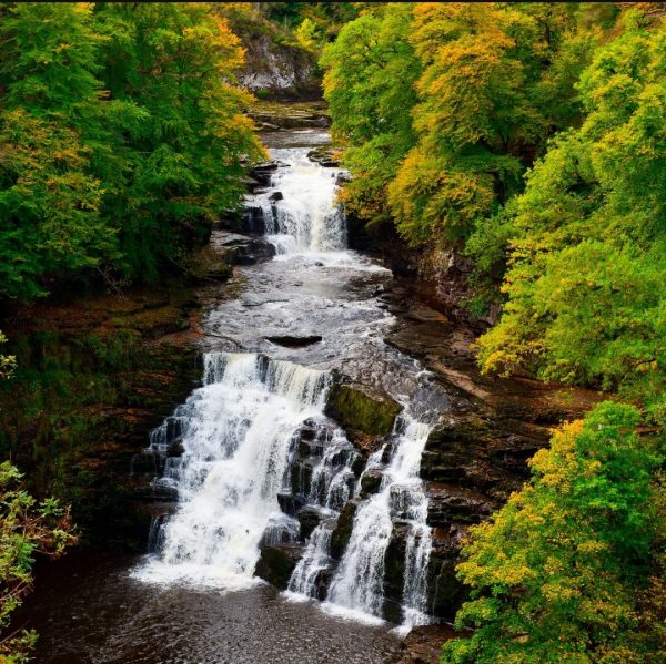 Falls of Clyde Wildlife Reserve