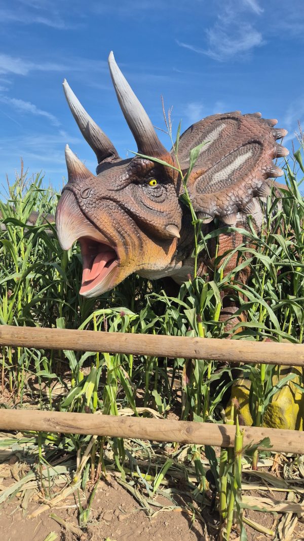Fantasy Farm
