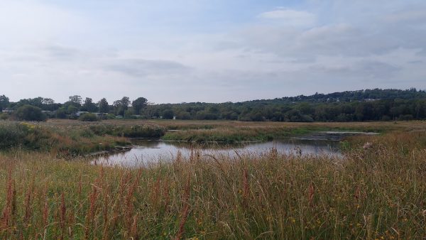 Fell End Nature Reserve
