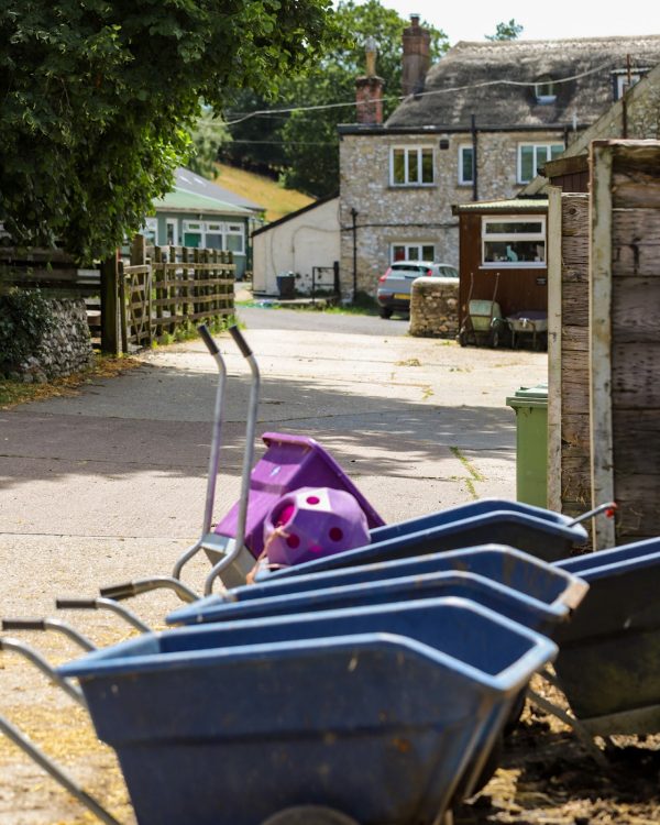 Ferne Animal Sanctuary