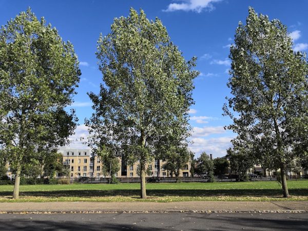 Finsbury Park