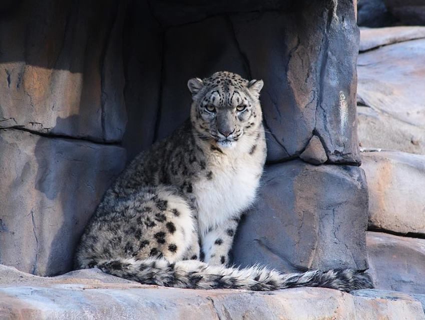 Five Sisters Zoo