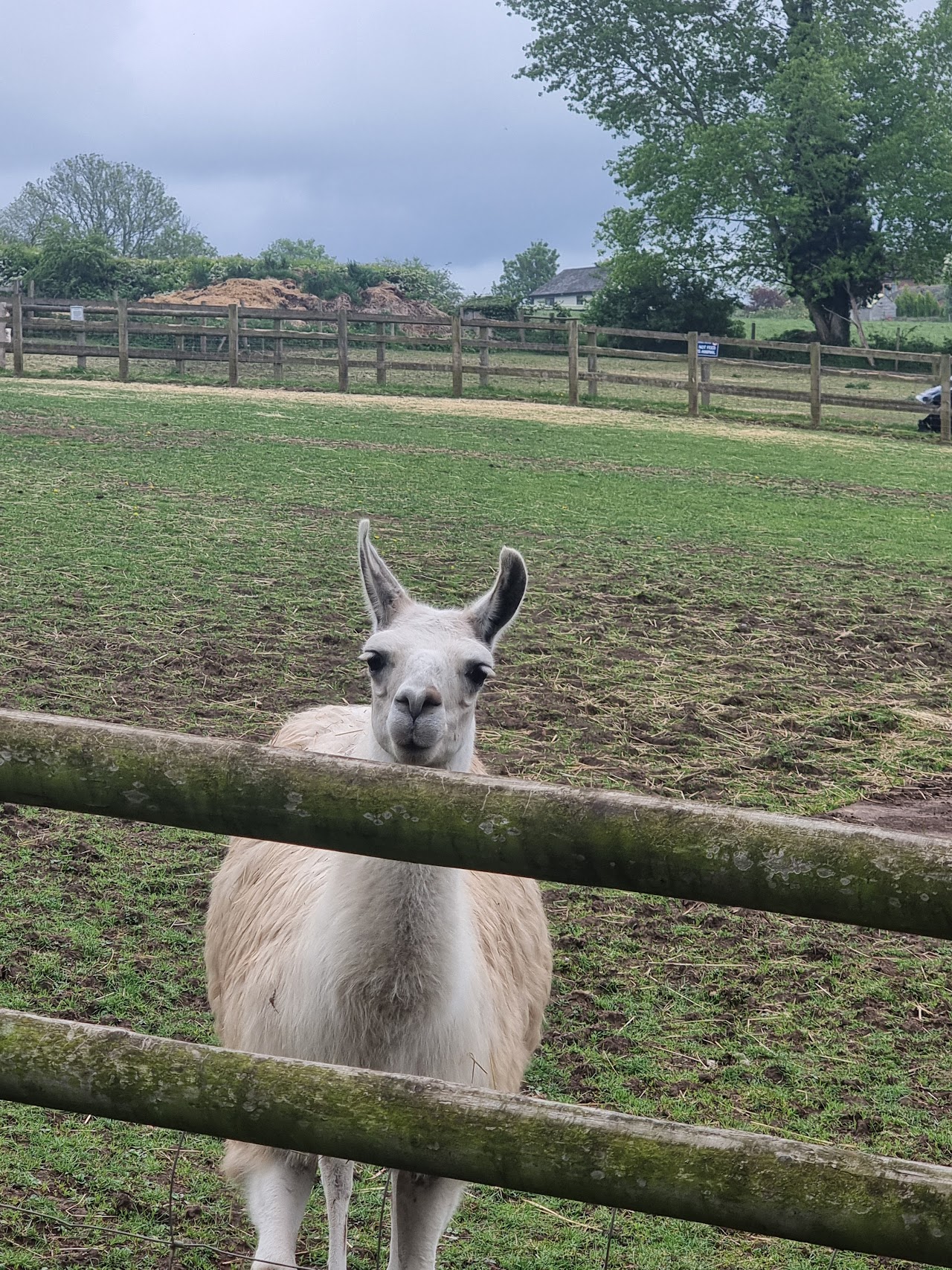 Floralands Farm Park