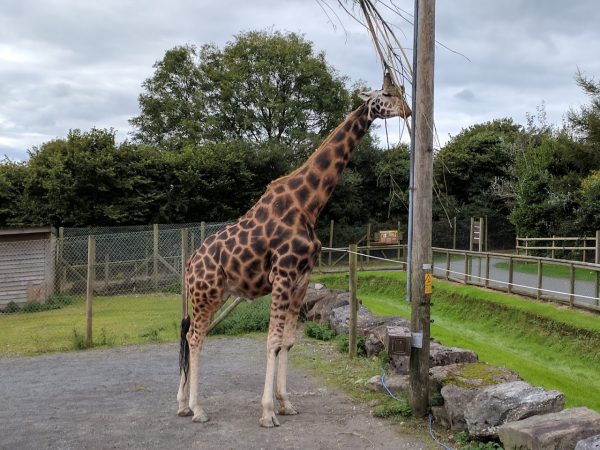 Folly Farm Adventure Park and Zoo