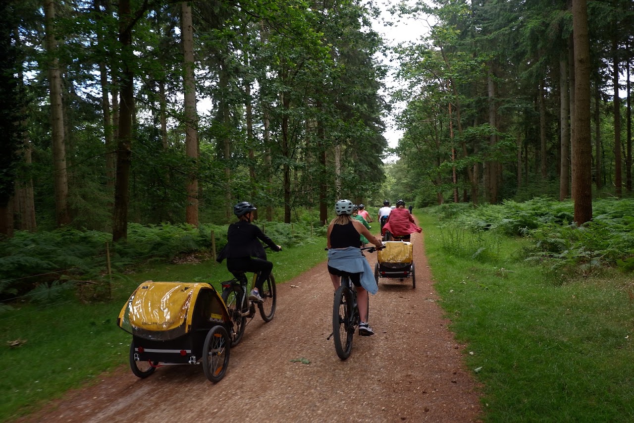 Forest Leisure Cycling