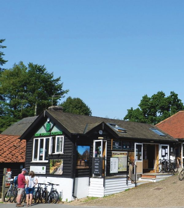 Forest Leisure Cycling