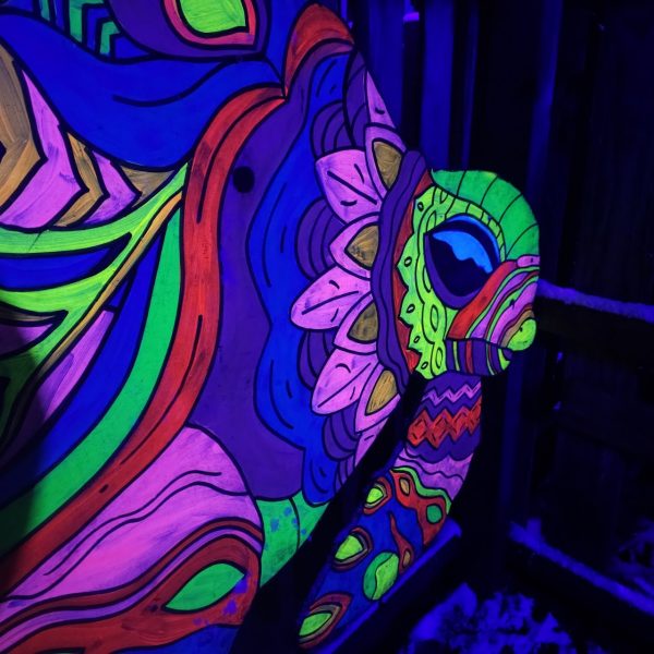 Forest of Light at Beamish Hall