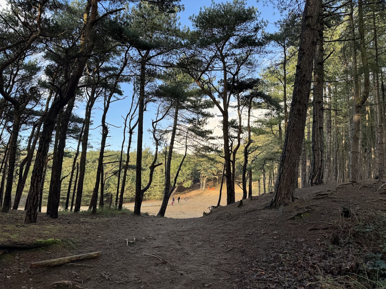 Formby Nature Reserve