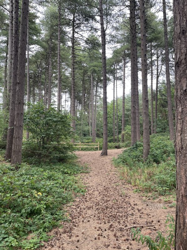 Formby Nature Reserve