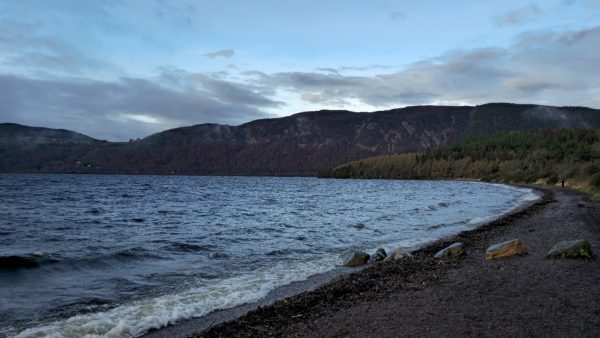 Fortrose Beach