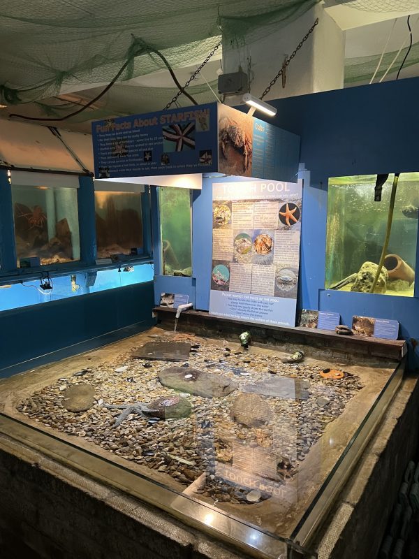 Fowey Aquarium