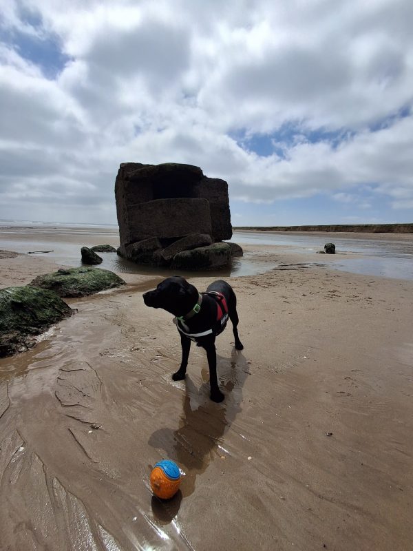 Fraisthorpe Beach