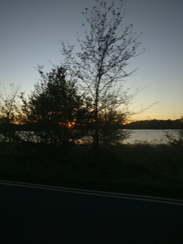 Frensham Great Pond