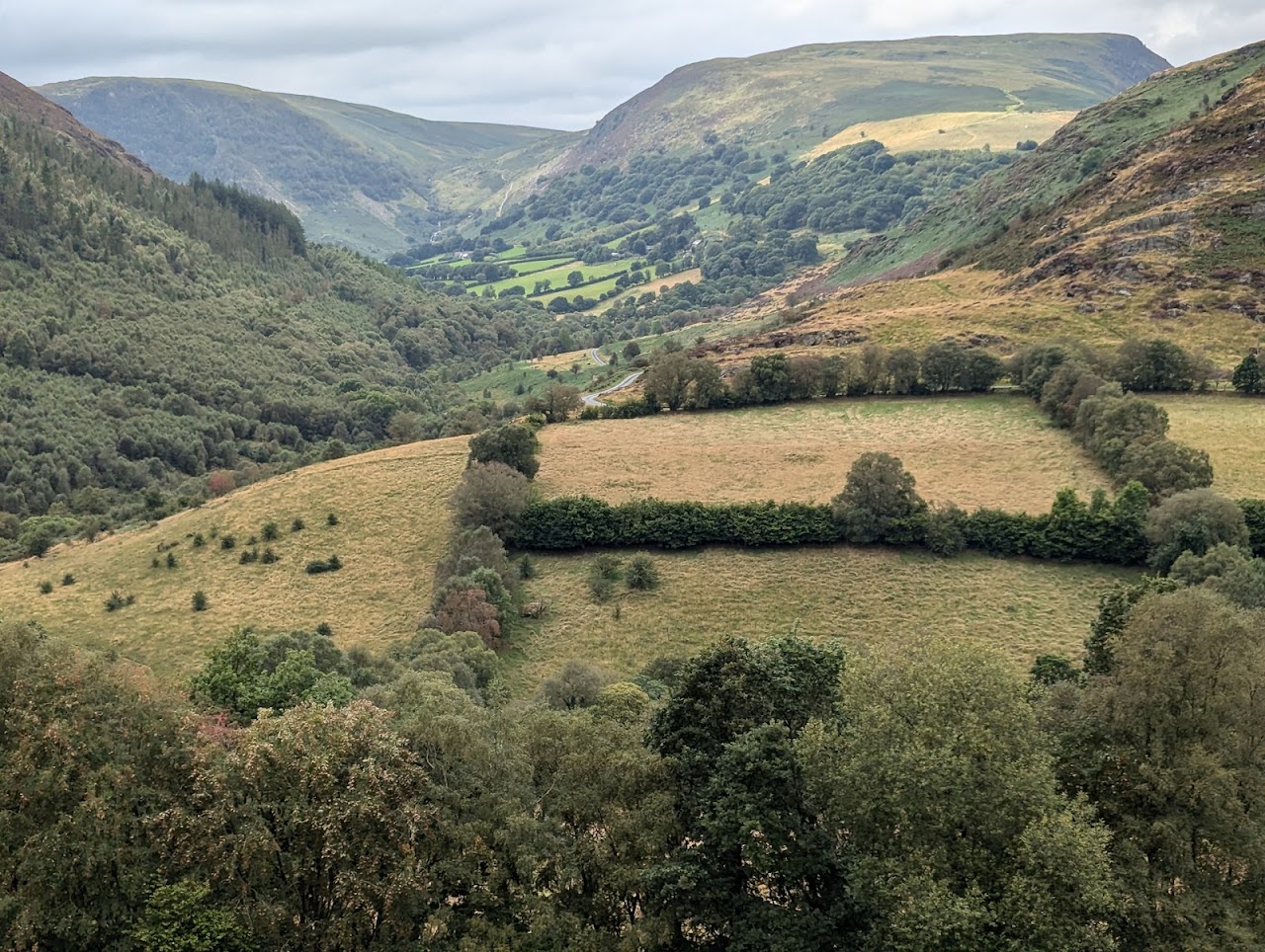 Gilfach Nature Discovery Centre