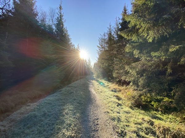 Gisburn Forest and Stocks