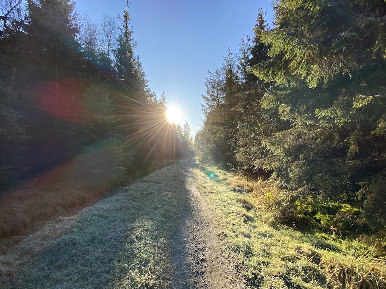 Gisburn Forest and Stocks