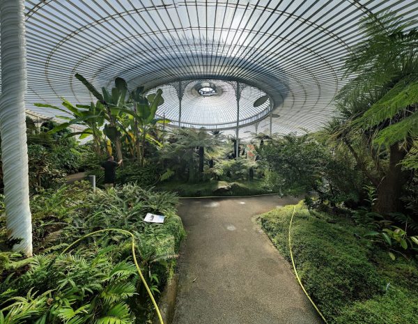 Glasgow Botanic Gardens
