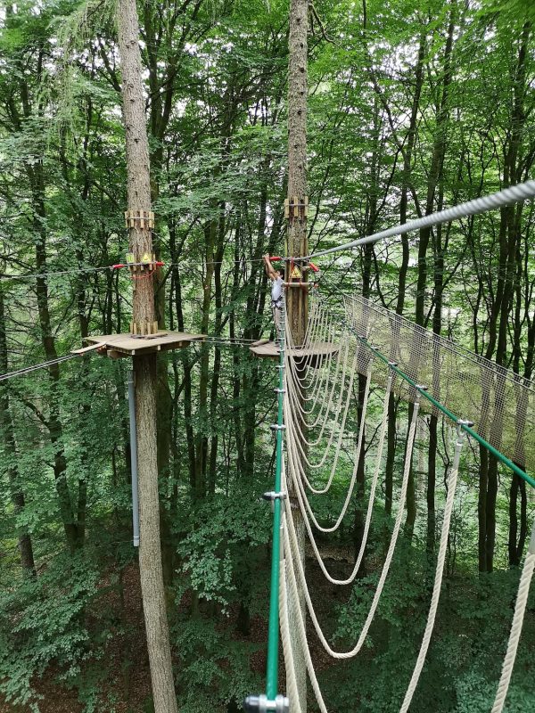 Go Ape Aberfoyle