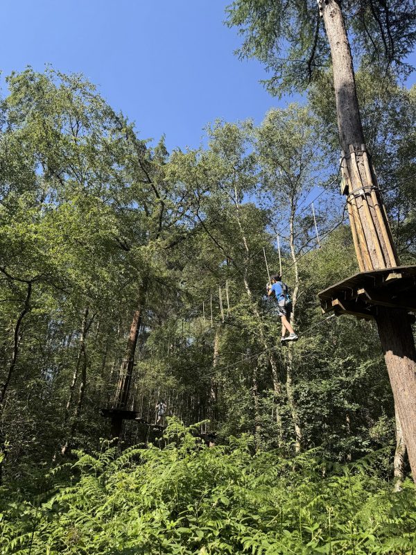 Go Ape Black Park