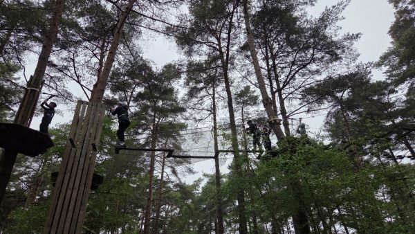 Go Ape Bracknell