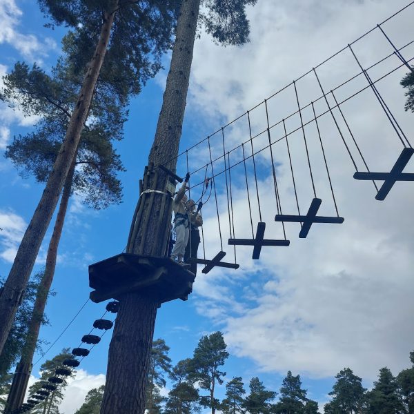Go Ape Cannock